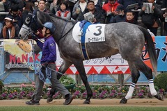 20191222 中山7R 3歳上1勝クラス ロークアルルージュ 12