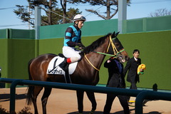 20200105 中山5R 3歳1勝クラス ルトロヴァイユ 17