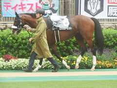 20190622 東京10R 八ヶ岳特別(2勝) ロジスカーレット 10