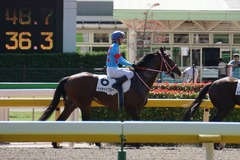 20191026 東京3R 2歳未勝利 ベイサイドブルー 16