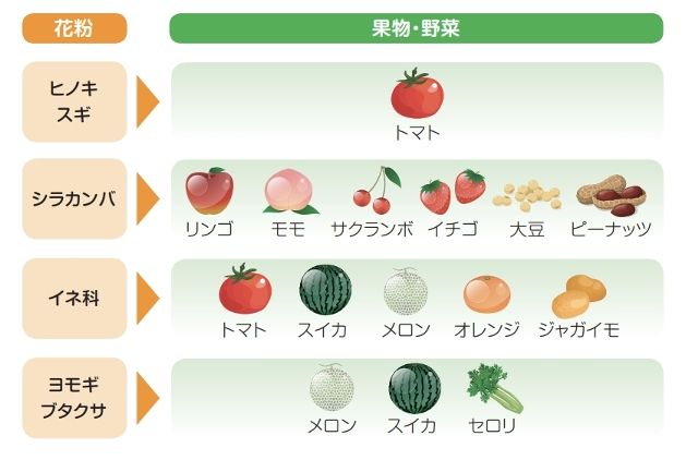 口腔アレルギー症候群 Study Group Tulip Blog チューリップ勉強会