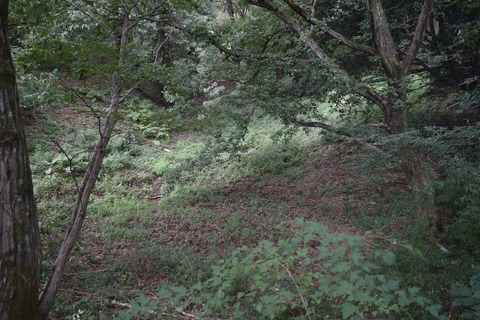 小田野城 堀跡