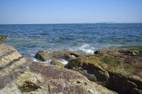 燈明堂海ブログ用6