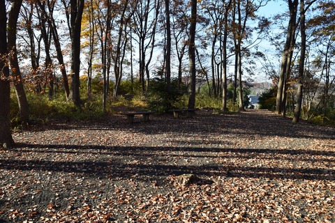 出羽山公園 ブログ用9