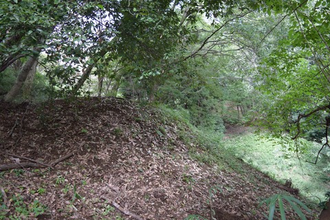 小田野城 堀跡2