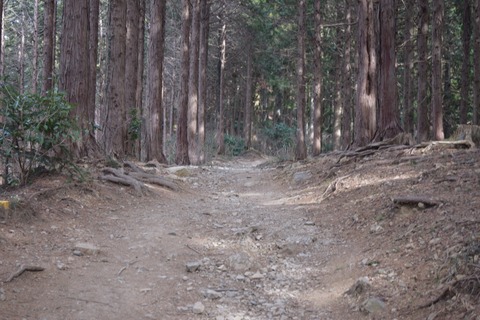 景信山　道中　ブログ用