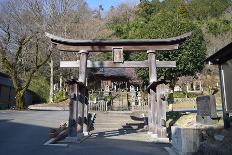 氷川神社 鳥居ブログ用