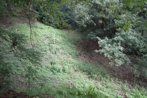 小田野城 堀跡3 ブログ用