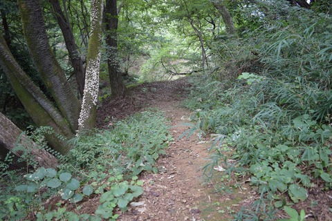 小田野城 枡形状遺構跡 ブログ用