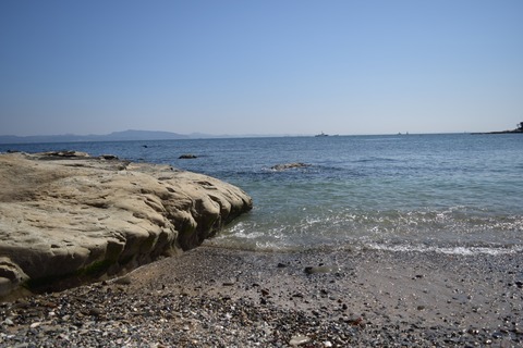 燈明堂海8 ブログ用