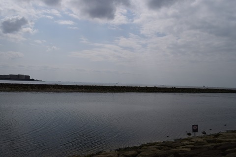 葛西臨海公園 ブログ用7