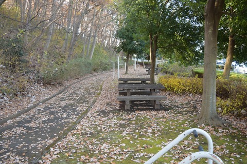 出羽山公園 ブログ用 (2)