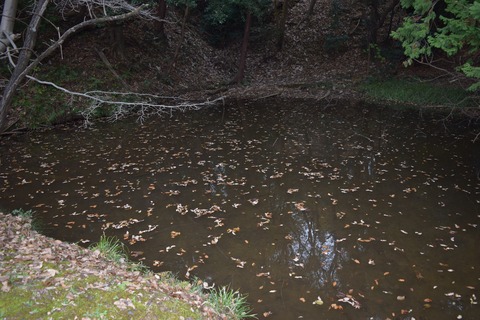 由木城跡 沼 ブログ用