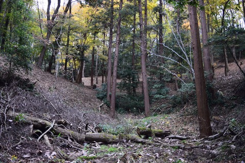 由木城跡 ブログ用3