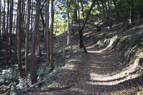 弁天山　山道　ブログ用