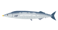 fish_sakana_sanma