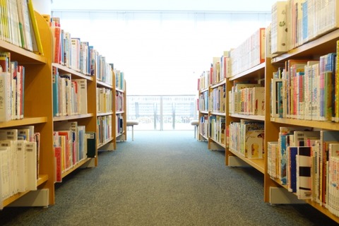 大きな図書館の本棚