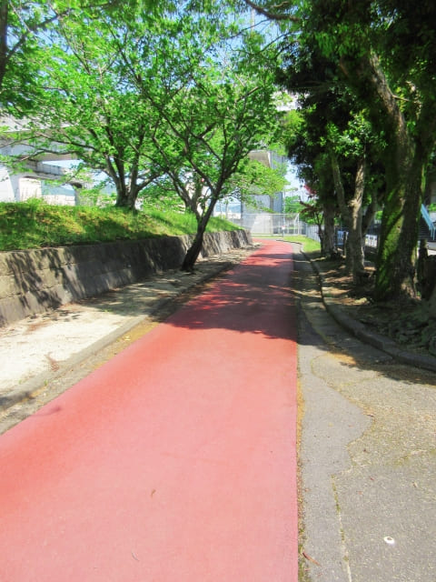 都会の中の歩行者専用道路