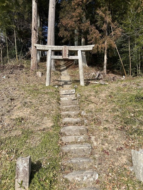 【神社系】地図にない神社見つけた...