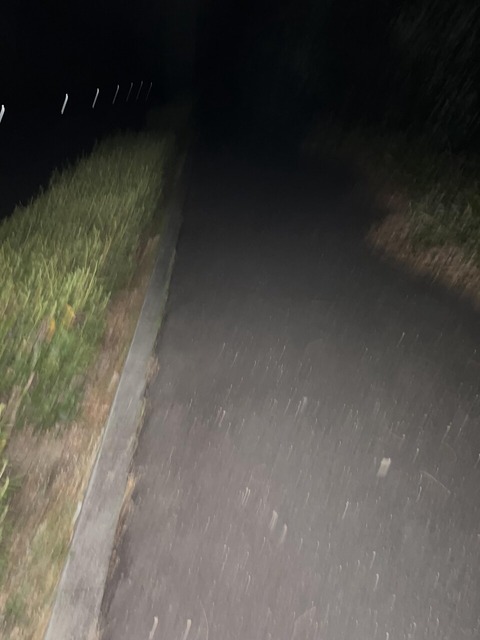 【心霊スポット系】今から女の子の霊がでるホトトギス旅館跡に行く！！！