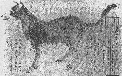 Seizan_Kudagitsune