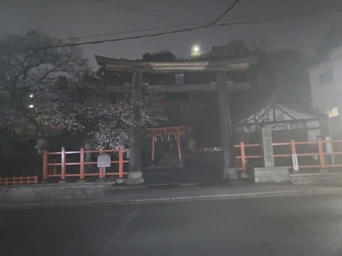 【神社系】眠れないワイの深夜の神社参拝