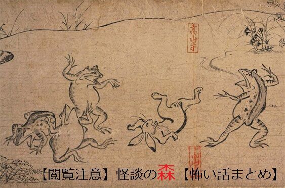 閲覧注意 怪談の森 怖い話まとめ