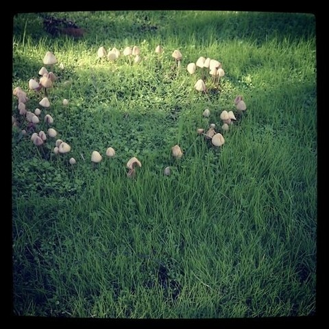 【海外系】欧米で噂されてる「フィートラップ（妖精の罠）」って怪談あるでしょ? あれ実際にみたことあるよ