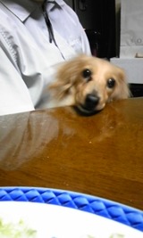 IMG-0232