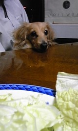 IMG-0231