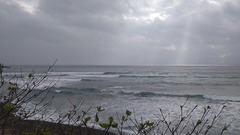 DSC_1526