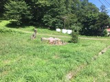 ファイル 2015-08-26 9 57 48
