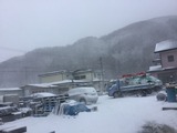 �ե����� 2016-01-18 11 59 36