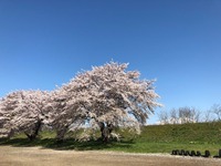 IMG_0986