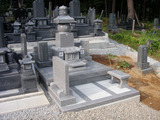 P8029989