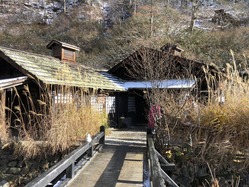 IMG_4611
