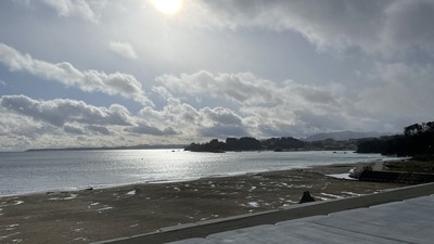 IMG_1601