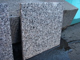 PA300352