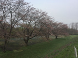 ファイル 2015-04-17 8 52 06