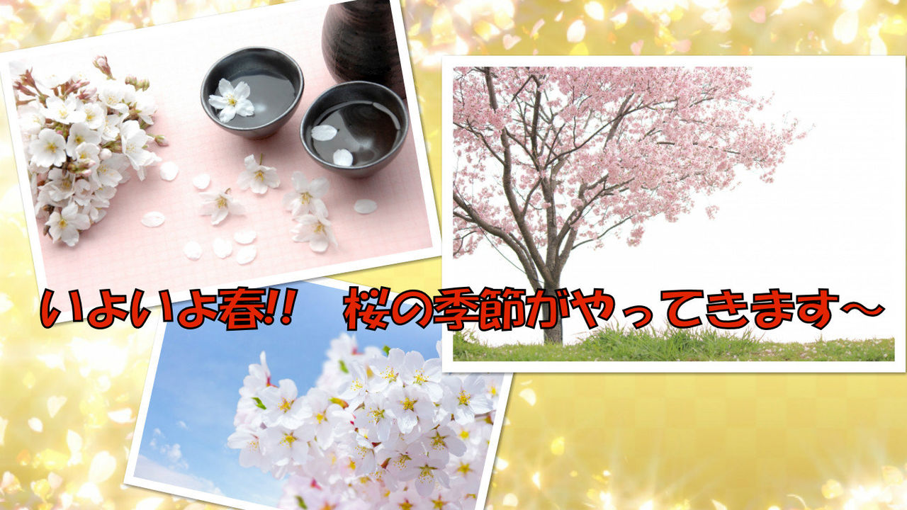花見