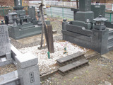 P4217301