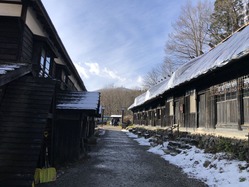 IMG_4600