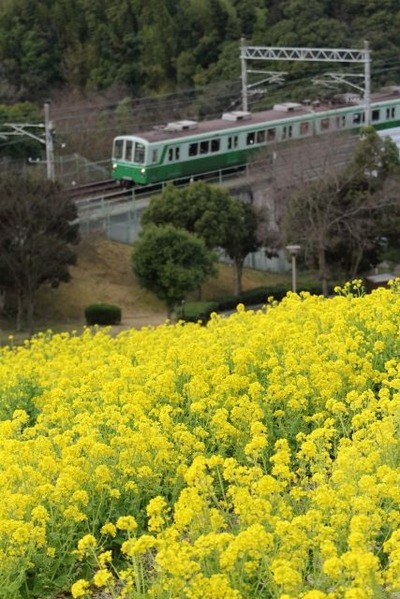 0de41568ef0d1a27d40a3e7fa278e46f_s