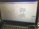 ファイル 2015-06-23 10 13 25