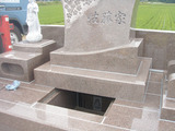 P6295884