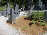 P7089817