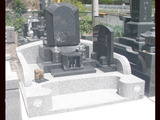 P5317497