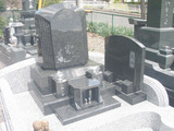 P5317496