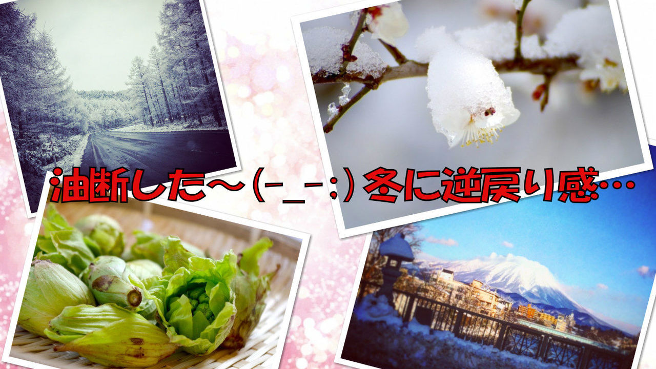 冬に逆戻り