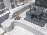 P5317503